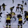 Deutliche 4 : 9 (1:3, 1:6, 2:0) Niederlage gegen die Devils!